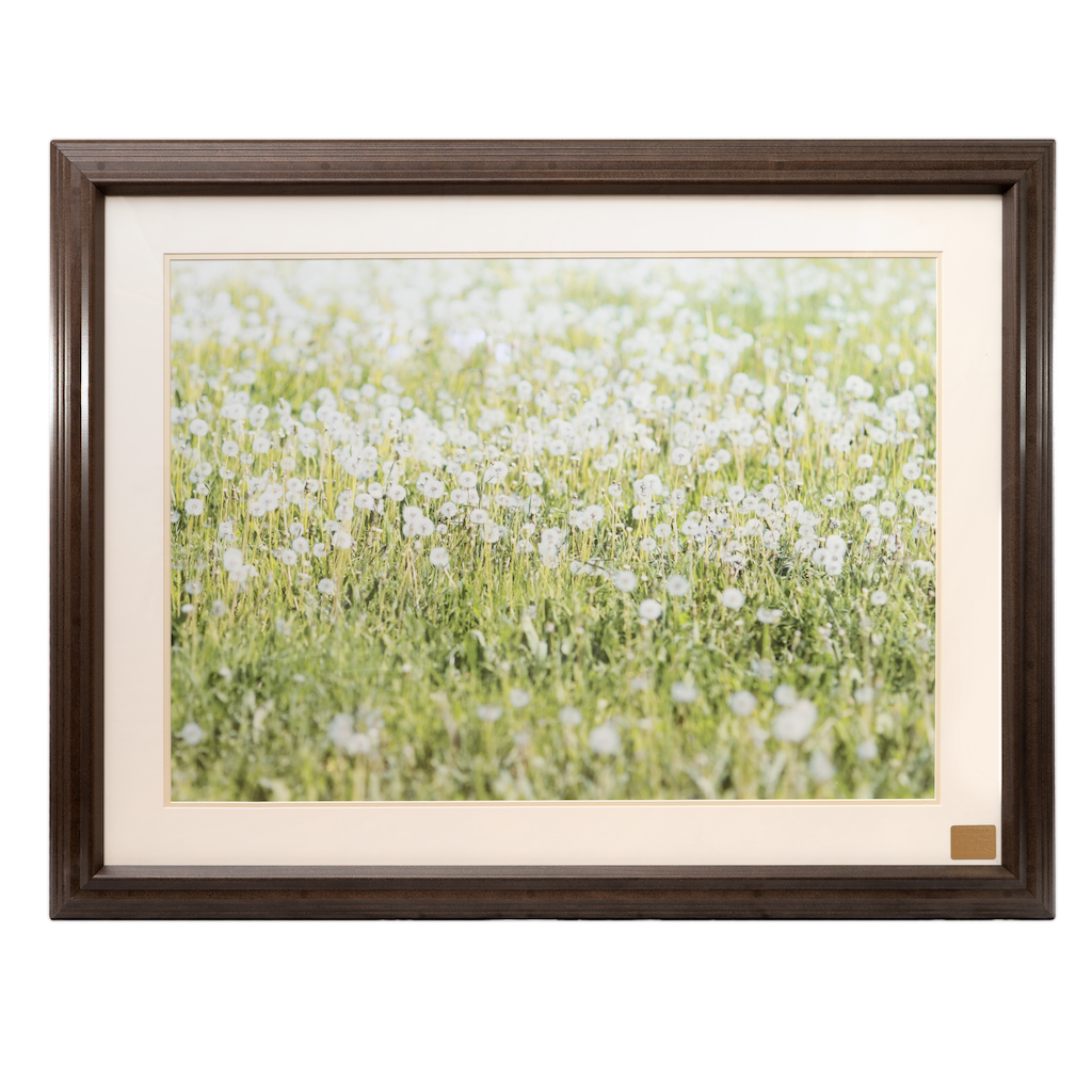 Ligature Resistant Art Frame - Front Angle